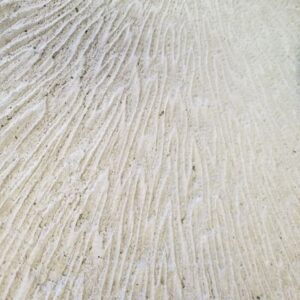 Coral Cast Stone Pavers (24" x 24" x 2")