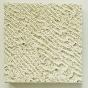 Coral Cast Stone Paver (12" x 12" x 2")